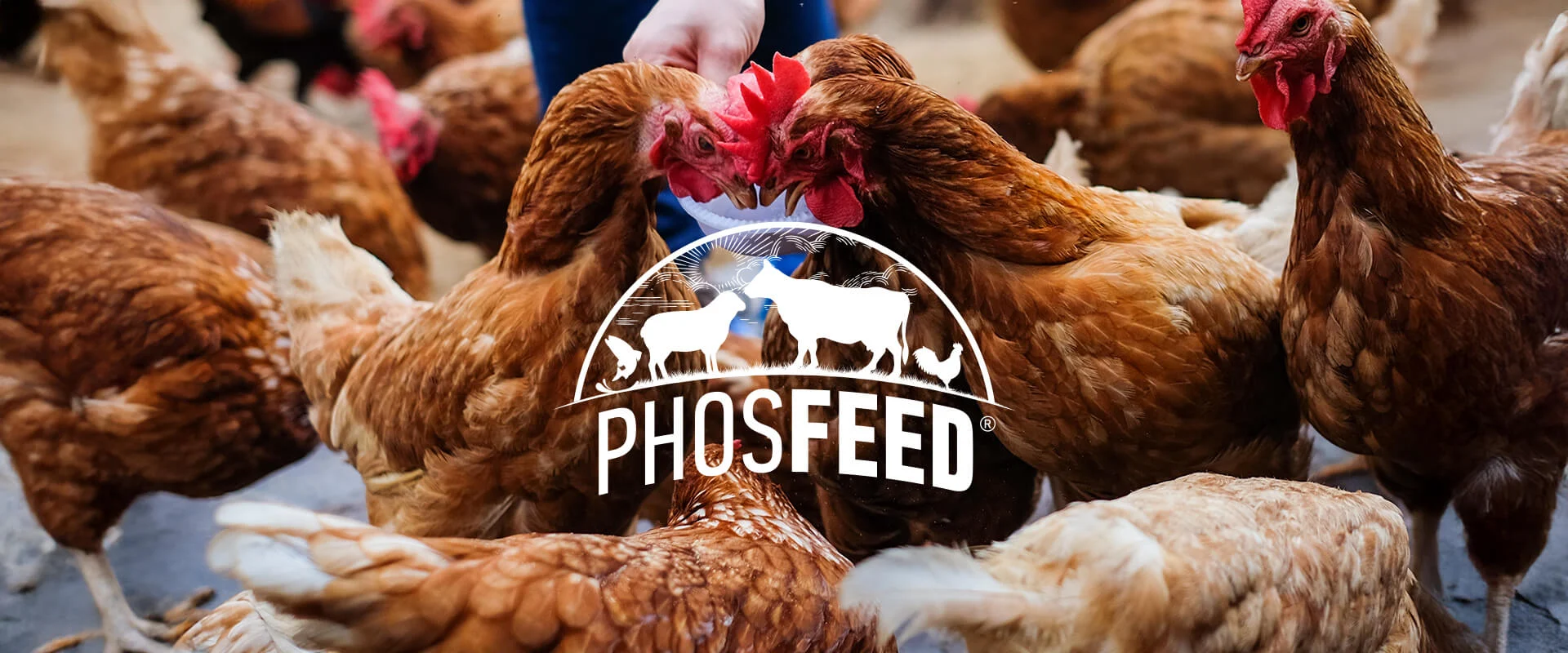 Specialty Products at OCP